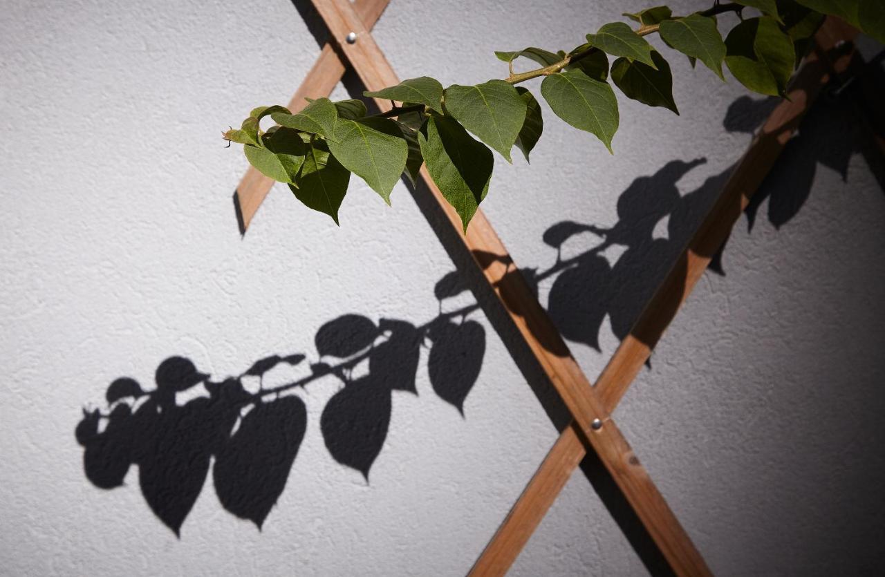 Chillhouse_Portoアパートメント エクステリア 写真